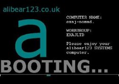 alibear123 SYSTEMS Boot