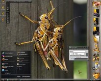 Mutant Insects