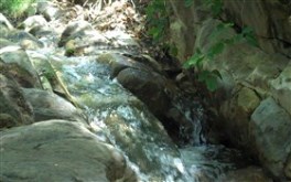 Natural Stream II
