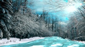 Winter_Forest_Stream