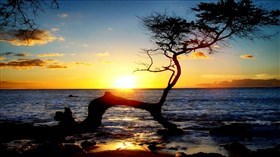 Calm_Sunset_Ocean