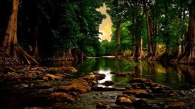 Golden_Redwood_Creek