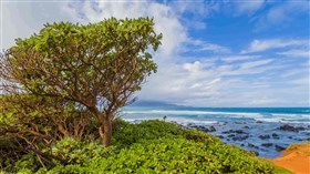 Gorgeous Maui Windy Day