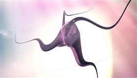 The_Thing