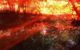 Summer Backwater - #Summer09