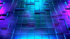 Square Back