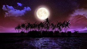 Island Moon