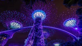Singapore Lights