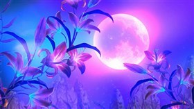 Neon Moon
