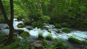 River Greens