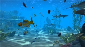 Under the Sea 4
