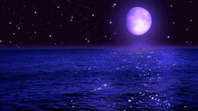 Starlight Moonlight