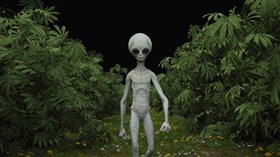 4K Alien Walkabout