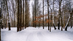 January in Hungary