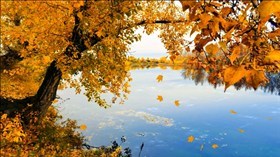 Autumn River