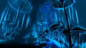 Ice Cave