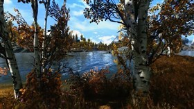 Skyrim Autumn