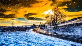 Snow Road