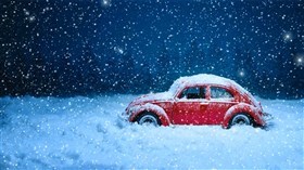 Bug Stuck In Snow