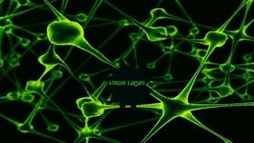 Virus Logon