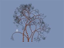 The owl tree