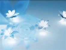 flowers from heaven