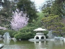 water garden