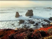 californian beach