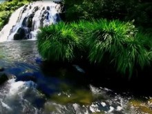 Owharoa falls