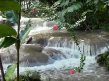 a beautiful cascade
