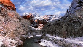 Zion Winter