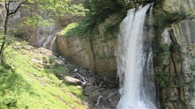 Swiss Fall