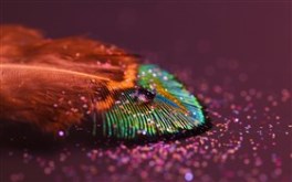 Featherlight_wall