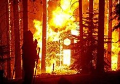 San Diego Wild Fires