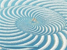 Spiral Sunbathers