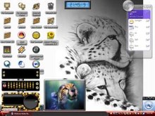 cats 5