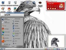 redtail hawk 3