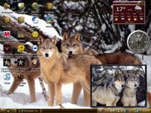 five wolfs dancing