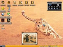 hunting31