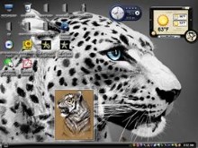 tiger77