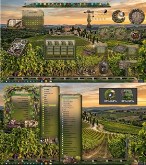 Vineyard