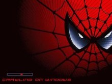 TheWeb