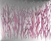 Textured Grass