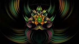 Summers Bloom LV