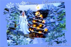 Merry Xmas