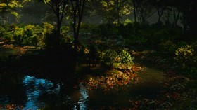 Nature03