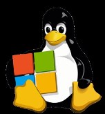 Tux holding windows