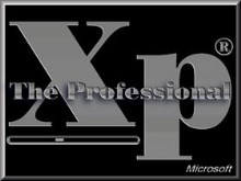 The Professional