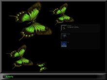 Butterfly1